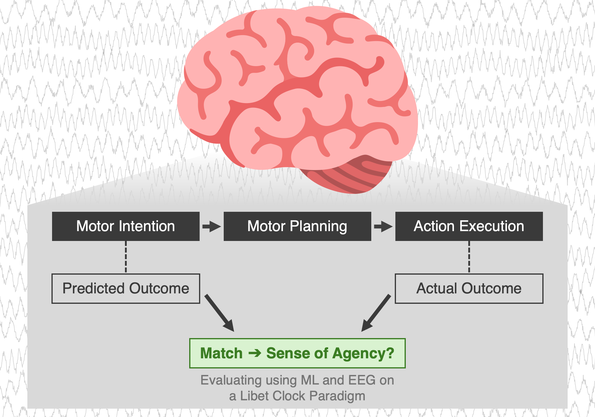 Elucidating the electrophysiological correlates of prospective sense of agency.